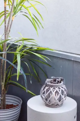 a vase sitting on a table next to a plant at Beautiful Loft Downtown Porto in Porto