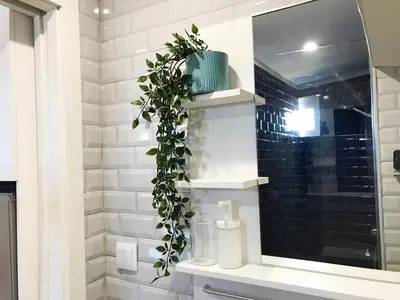 a bathroom with a mirror and a plant on a shelf at Little Tower in Porto