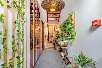 a hallway with plants on the walls at Garden in Town Hostel in Porto