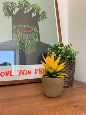 a plant on a table with a sign that readslove you first at Guest House Arca de Água in Porto
