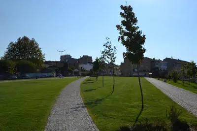 a path in a park with a tree and grass at Portoo Blue Apartments - Amazing in Vila Nova de Gaia