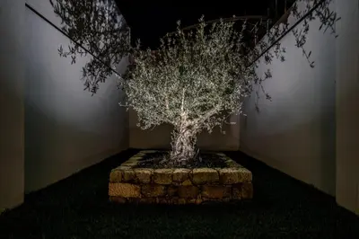 a lighted tree sitting on top of a wall at Stayin Apartments - Rua do Sol in Porto