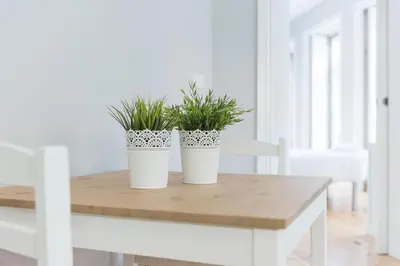 two potted plants sitting on top of a wooden table at LovelyStay - Porto Windows with AC by central station in Porto