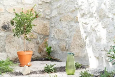 a plant and a vase in front of a stone wall at Amy Porto in Porto