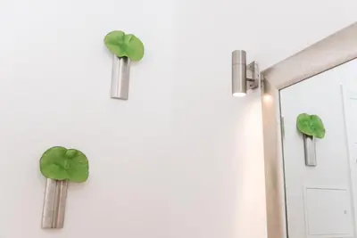 a green plant on a wall next to a mirror at GuestReady - Coral Apartment in Porto