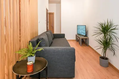 a living room with a couch and two potted plants at GuestReady - Yazdah Flat 3 in Porto