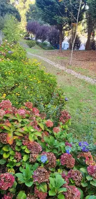a garden with colorful flowers in a park at VIVER D'AMOR Oporto Douro River Flat in Vila Nova de Gaia