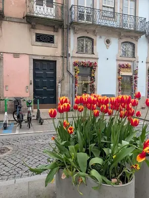 a pot of tulips in front of a building at Beautiful Infante Apartment in Porto