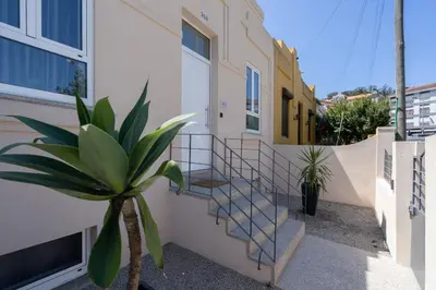 a stairway with a plant in front of a building at OportoHost Dragão Duplex in Porto