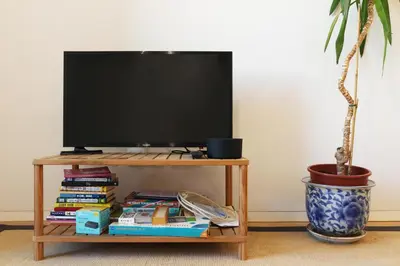 a tv on a table with books and a plant at Villa Invicta in Porto