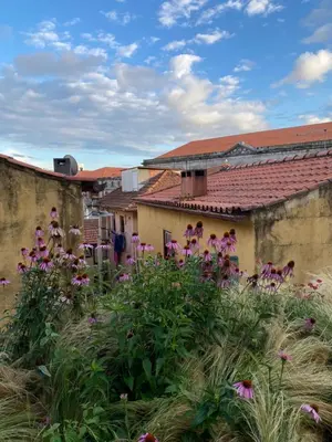 a garden with flowers in front of a building at My Little Porto - Charming house in Miragaia, Porto in Porto