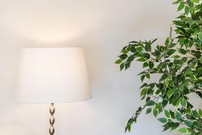 a lamp with a plant next to a white wall at GuestReady - Candal Big Watch in Vila Nova de Gaia