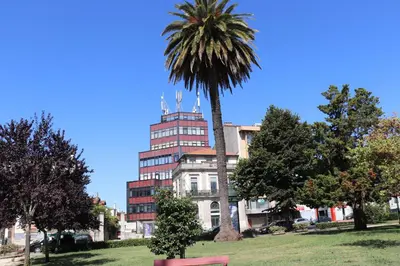 a palm tree in front of a building at 3 Bedrooms Central Apartment with garage by Great&Cosy in Porto