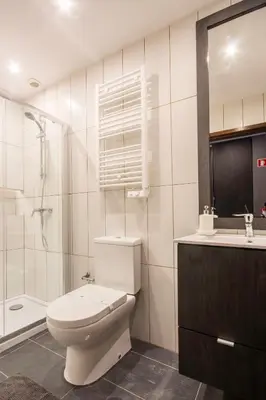 a bathroom with a toilet and a shower and a sink at 447 Galé Apartment wifi, parking in Porto