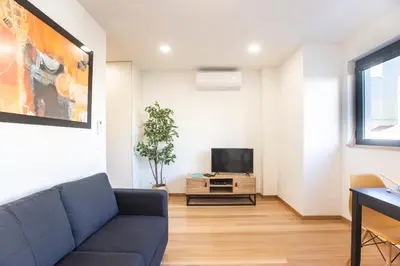 a living room with a couch and a tv at Homely Studio w/ AC near Marquês by LovelyStay in Porto