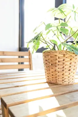 a plant in a basket sitting on a wooden table at Travel & Live Alegria Apartments in Porto