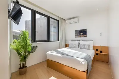 a bedroom with a bed with a plant and a tv at Alvaro´s Loft Downtown in Porto