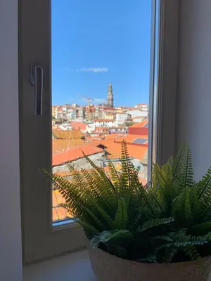 a potted plant sitting in front of a window at Lost Inn Porto Hostel in Porto