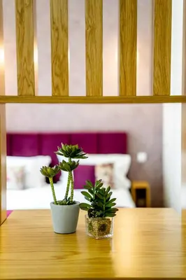 two potted plants sitting on a wooden table at Mouzinho 129 - Medronheiro & Oliveira in Porto
