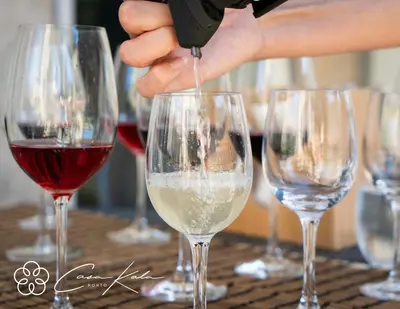 a person pouring wine into wine glasses on a table at Casa Kala in Porto