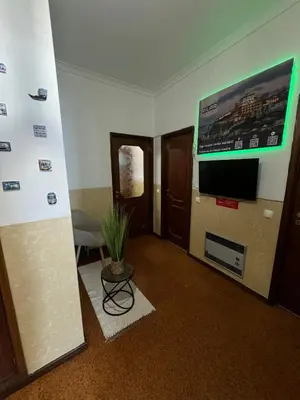 a living room with a tv and a potted plant at Pilar Hostel - Rua de Santa Catarina - Porto in Porto