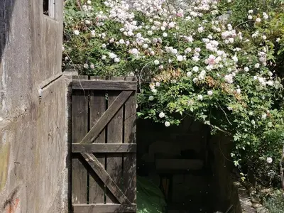 a wooden door with a flower arrangement on it at Vérités Dame in Porto