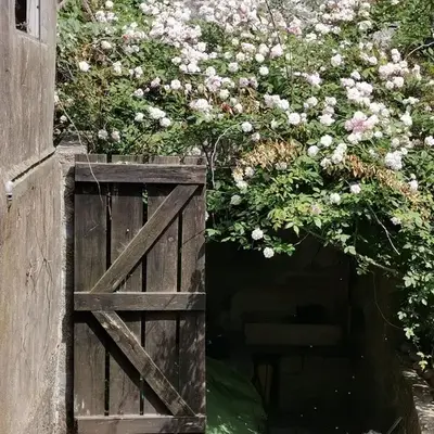 Vérités Dame