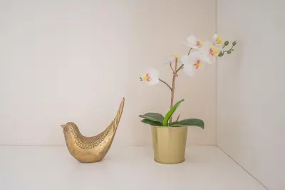 a plant in a pot next to a vase at PortoTile By RDC in Porto