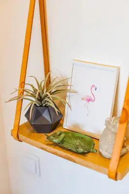a shelf with a picture of a flamingo and a plant at Casa da Música 5th High in Porto