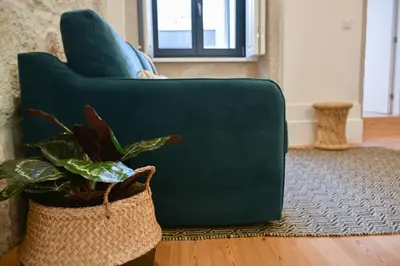 a green couch in a living room with a potted plant at Apartamento central, junto a Praça da Batalha - APT F in Porto