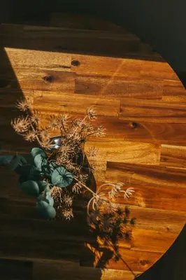 a reflection of a plant on a wooden floor at Oporto Maison Sol in Porto