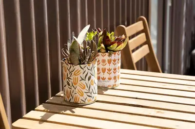 two potted plants sitting on top of a wooden table at Casa Girasol River View in Porto