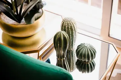 a glass table with a cactus and a green couch at Chimney Luxury House with AC in Porto