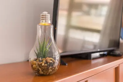a glass bottle with a plant in it on a table at Metro Lapa House with sunny balcony and A/C in Porto