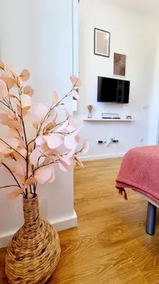 a vase with a plant in a living room at Glamour Dreaming Studio in Porto