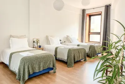 two beds in a white room with a potted plant at Central Loft with free parking in Porto