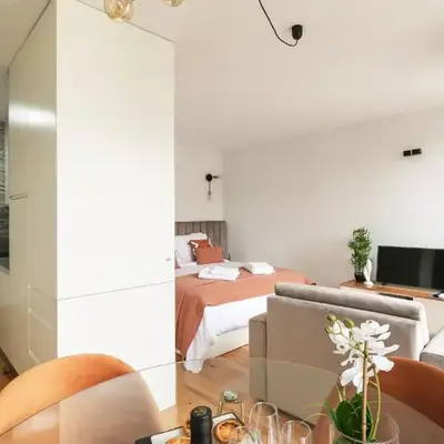 Bright Studio near Douro River - with Balcony