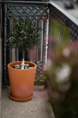 a plant in an orange pot on a balcony at Porto Contemporary Apartment in city center in Porto