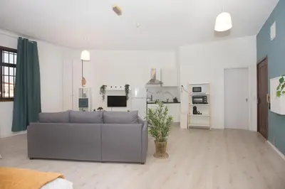 a living room with a gray couch and a kitchen at Bonsai Apartment IIII in Porto