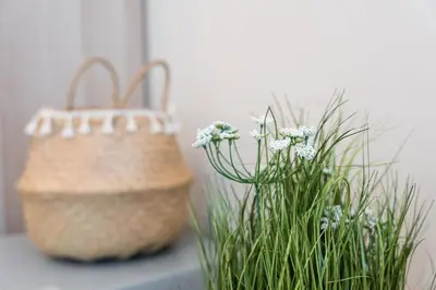 two baskets sitting next to some green plants at GuestReady - OPortoGrow Central Batalha 2 in Porto