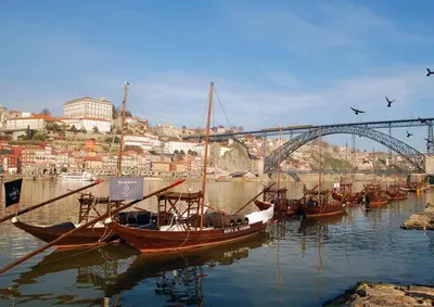 Gallery image of Travessa House C1 Porto City Center - by Guest SPA in Porto