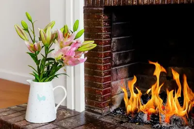 a vase of flowers sitting next to a fireplace at Aida's Haven Penthouse&Parking in Porto