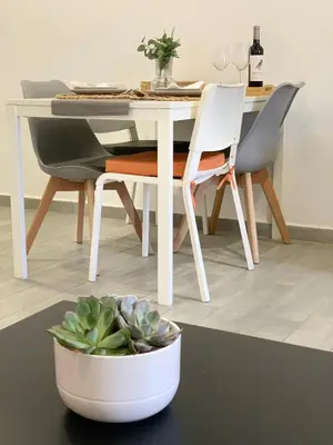 a dining room table and chair with a potted plant at Almada Downtown 402 in Porto