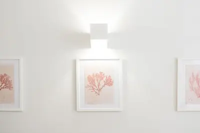 a group of three framed drawings of plants on a wall at GuestReady - San Sebastian Studios in Porto