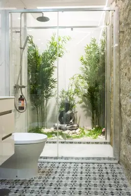 a bathroom with a shower with a toilet and plants at Casa Barros - Trindade in Porto