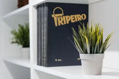 a shelf with two books and a potted plant on it at InLapa Studio V Porto Terrace in Porto