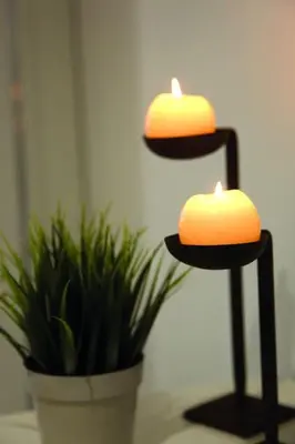 a plant in a pot next to a candle holder at InLapa Studio V Porto Terrace in Porto
