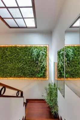 a room with a staircase with plants and a refrigerator at Casa da Música Guesthouse in Porto